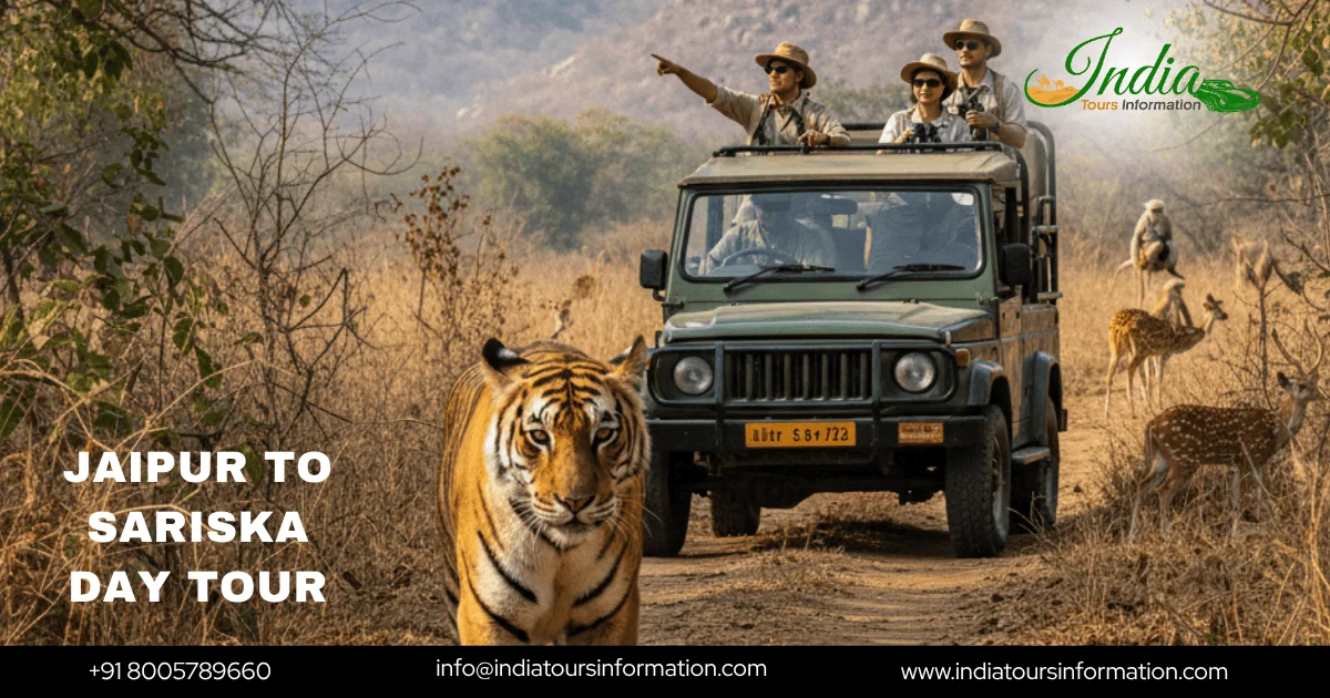 Jaipur to Sariska Day Tour