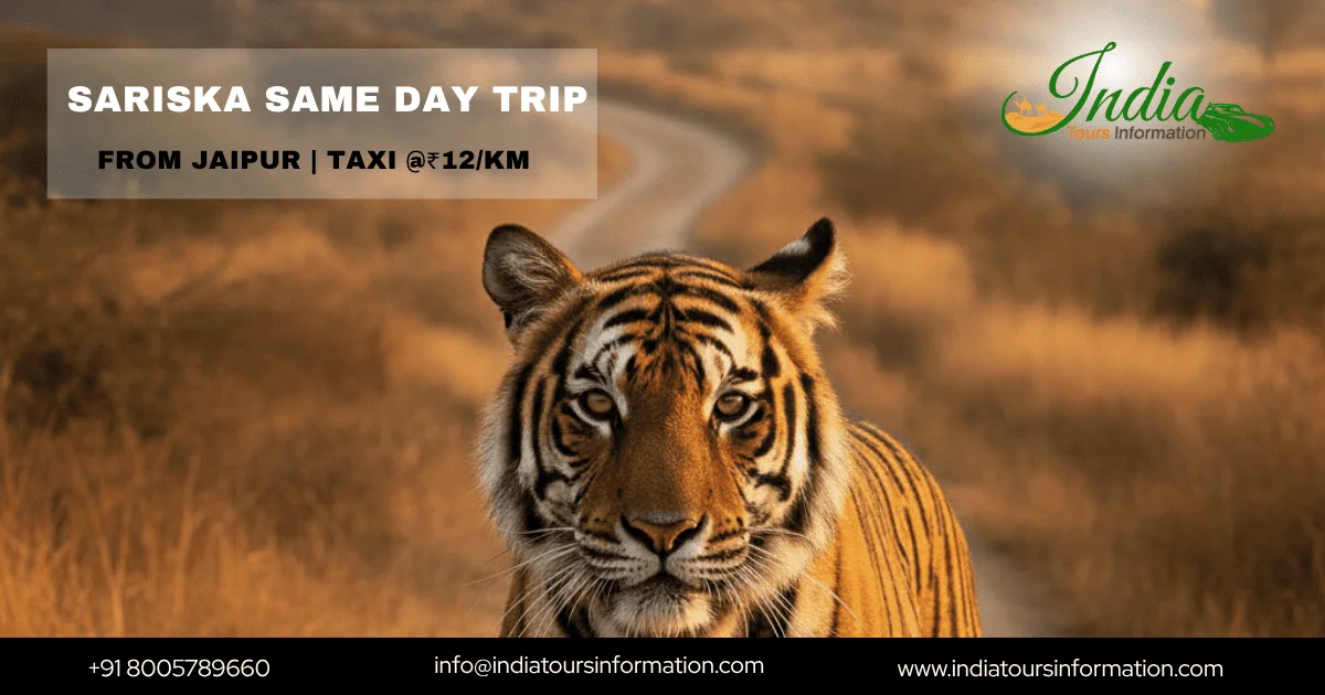 Jaipur to Sariska Same Day Trip