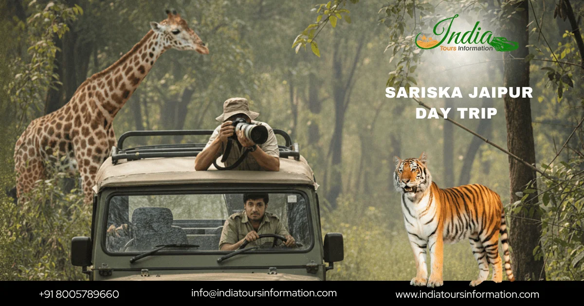 Sariska Jaipur Day Trip