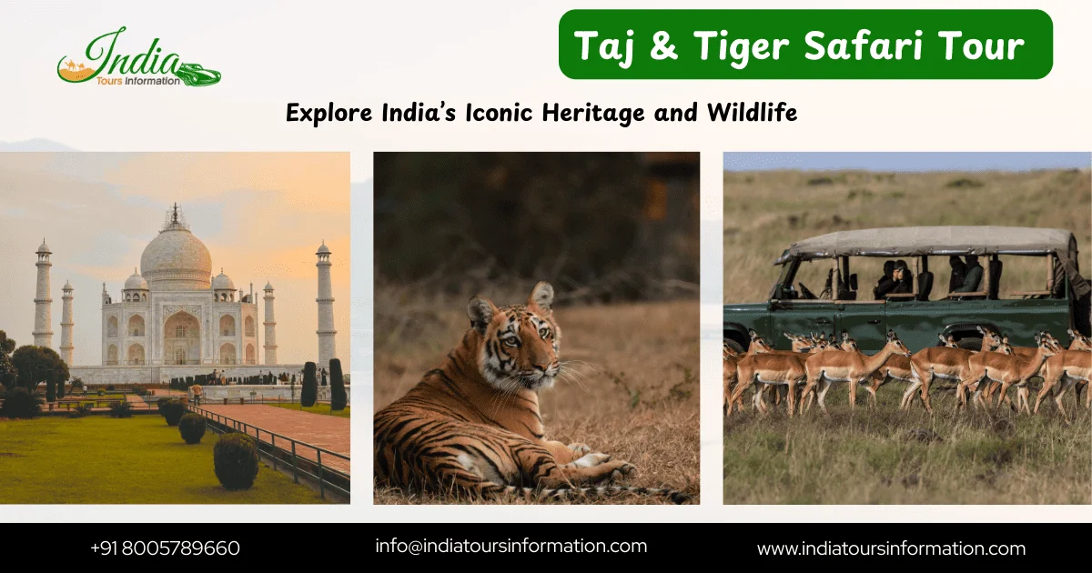 Taj and Tiger Safari Tour