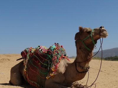 Pushkar Lake